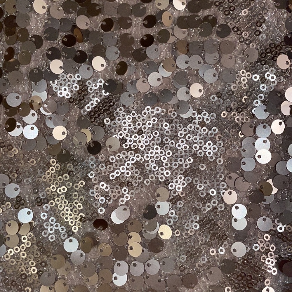 NWOT Tildon special occasion sequin skirt (Nordstrom)